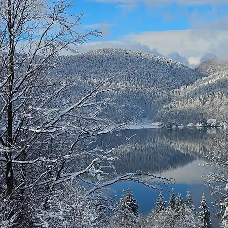 Tiny House 2 Privat Wellness Villa